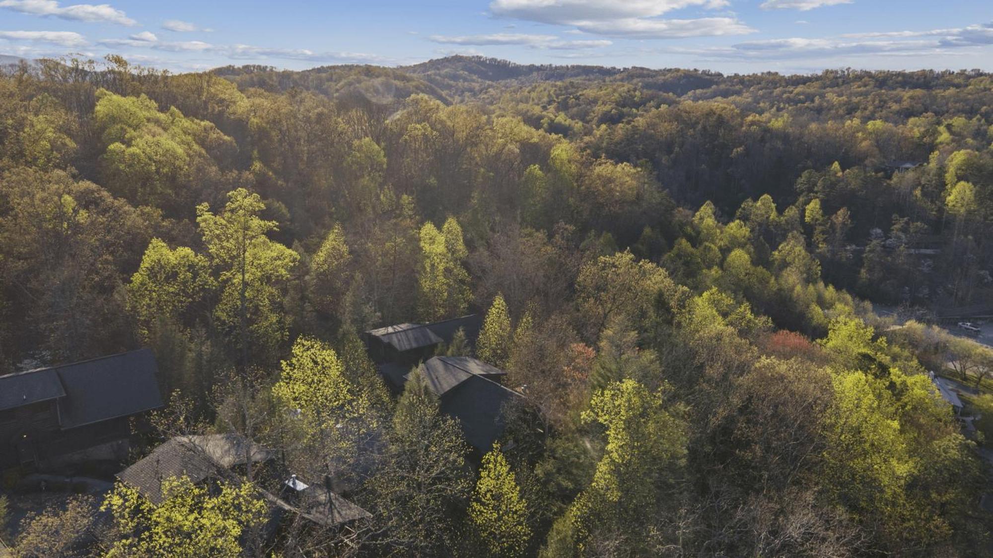 Stunning Mountain Cabin W Hot Tub Gatlinburg Exteriér fotografie